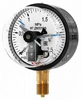 ДМ2010ф 10 МПа кл.1,5 исп IV без фланца УТ000013062