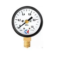 ТМ-110Р.00(0-25)MPa.М10х1.2,5 УТ000011464